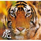【送料無料】[本/雑誌]/虎/岩合光昭/著