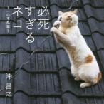 [book@/ magazine ]/ certainly .... cat one heart un- ../.../ work 