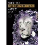 【送料無料】[本/雑誌]/安部祐一朗の色鉛筆画「生物×宝石」の描き方/安部祐一朗/著