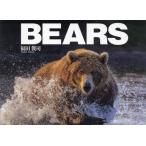 [ бесплатная доставка ][книга@/ журнал ]/BEARS/ Fukuda ../ работа 