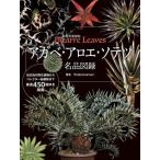 [ бесплатная доставка ][книга@/ журнал ]/ агава * алоэ * саговник название товар альбом с иллюстрациями .. прекрасный лист растения Bizarre Leaves/Shabomaniac!/ работа 