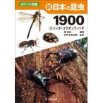 [книга@/ журнал ]/ новый японский насекомое 1900 2 ( карман иллюстрированная книга )/. подлинный история / сборник работа Itami город насекомое павильон /..