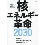 [ бесплатная доставка ][книга@/ журнал ]/. энергия переворот 2030....4 вид. новая модель .... обычный .. уголь элемент новый бизнес /. глициния ../ работа Sato ../ работа 