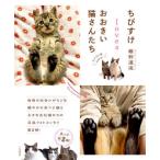 [книга@/ журнал ]/....loves.... кошка san ../.. дорога ./ работа 