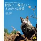 [ бесплатная доставка ][книга@/ журнал ]/ мир . самый прекрасный кошка ... пейзаж земля . более ... место стать ( nature * Mu jiam)/ скала . свет ./ работа 