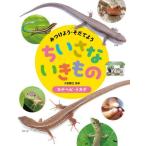 [ бесплатная доставка ][книга@/ журнал ]/. присоединение для *... для ... нет кимоно 3/ маленький . блестящий ./..