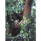 [ бесплатная доставка ][книга@/ журнал ]/bonobo последний. вид человек ./ передний река . line / фотография * документ 