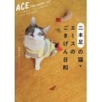 [книга@/ журнал ]/ 2 шт.@ пара. кошка * Ace. .... день мир / новый .. клетка / работа 