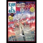 [ бесплатная доставка ][книга@/ журнал ]/ иллюзия ....17/..../ план * редактирование 