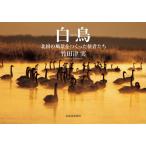 [ бесплатная доставка ][книга@/ журнал ]/ лебедь / бамбук рисовое поле Цу реальный / работа 