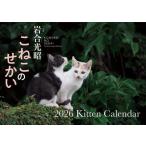 [книга@/ журнал ]/S17.. это ...(2026 год версия календарь )/ скала . свет .