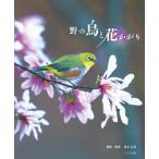 [ бесплатная доставка ][книга@/ журнал ]/.. птица . цветок .../ подлинный дерево широкий структура / фотосъемка *..