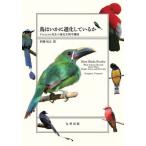 [ бесплатная доставка ][книга@/ журнал ]/ птица да краб эволюция делать .Futuyma. сырой. эволюция биология курс /. название :How Birds Evolve/DouglasJ.Futuyma/ работа . место ../ перевод 