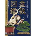 [ бесплатная доставка ][книга@/ журнал ]/.. person . хорошо понимать бонсай иллюстрированная книга популярный товар вид. бонсай работа . процесс фотография . подробности ./ широкий .. мужчина / работа широкий . доверие ./ работа 