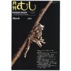 [книга@/ журнал ]/ ежемесячный ..2026 год 3 месяц номер /.. фирма ( журнал )