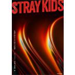 [ бесплатная доставка ][книга@/ журнал ]/STRAY KIDS...... нет ... история /cho*son Gin / оригинальное произведение . иметь ./ перевод . иметь ./ перевод 