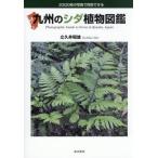 [книга@/ журнал ]/ Kyushu. sida растения иллюстрированная книга /.... самец / работа 
