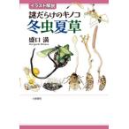 [ бесплатная доставка ][книга@/ журнал ]/ загадка .... грибы зима насекомое лето . иллюстрации описание /.. полный / работа 