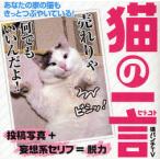 [книга@/ журнал ]/ кошка. одно слово ваш дом. кошка . наверняка .......!/ кошка дырокол TV/ работа ( монография * Mucc )