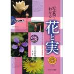 [ бесплатная доставка ][книга@/ журнал ]/ фотография . понимать цветок . реальный /. река много . самец / работа * фотография ( монография * Mucc )