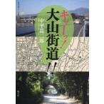 [ бесплатная доставка ][книга@/ журнал ]/kya-! большой гора улица дорога!! ( не .. дорога серии )/ средний flat дракон 2 ./ работа ( монография * Mucc )