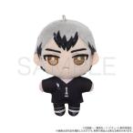 2025/09発売 [グッズ]/ハイキュー!! ぬいパル (ぬいぐるみマスコット) / 第二弾 北信介【ムービック】