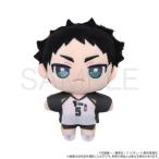 2025/09発売 [グッズ]/ハイキュー!! ぬいパル (ぬいぐるみ) / 赤葦京治【ムービック】