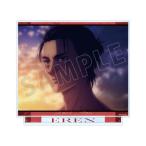 2025/12発売[グッズ]/TV...