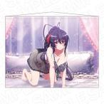 【送料無料】2025/12発売 [グッズ]/TVアニメ 『ハイスクールDxD HERO』 B1 タペストリー 姫島朱乃 ナイトウェア Ver.【コンテンツシード】