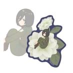 2026/05発売[グッズ]/TV...