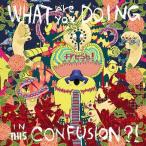 【送料無料】[CD]/fresh!/What Are You Doing In This Confusion
