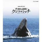 [ бесплатная доставка ][Blu-ray]/ документальный /NHK специальный большой море .. решение .! кит на автомобиль chi[Blu-ray]