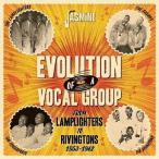 【送料無料】[CD]/オムニバス/ランプライターズからリヴィングトンズへ 不屈の道のり1953-1962