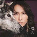 【送料無料】[CD]/工藤静香/「感受」 Shizuka Kudo 35th Anniversary self-cover album