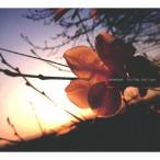 【送料無料】[CD]/satohyoh/feel like  feel right