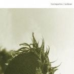 [CDA]/YUTA NAGASHIMA/SUN FLOWER
