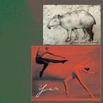 【送料無料】[CD]/jan and naomi/YES