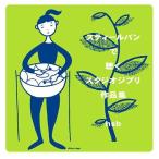 [ бесплатная доставка ][CDA]/hsb/ стальной барабан . слушать Studio Ghibli сборник произведений 