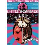 【送料無料】[DVD]/THE MODS、THE COLTS/LITTLE SCARFACE FESTA