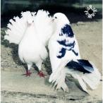 【送料無料】[CD]/Rip Van Winkle/Rip Van Winkle