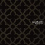 [CD]/Codex Barbes/Chapitre premier