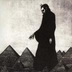 【送料無料】[CD]/アフガン・ウィッグス/イン・スペーズ