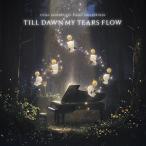 [ бесплатная доставка ][CD]/ игра * музыка /FINAL FANTASY XIV Piano Collections - Till Dawn My Tears Flow
