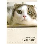 [ бесплатная доставка ][DVD]/ хобби образование / Cafe ..onDVD Leon. 1 день 