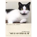 [ бесплатная доставка ][DVD]/ хобби образование / Cafe ..onDVD кошка дом . 9 . kabuki человек no занавес 