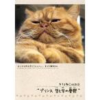 [ бесплатная доставка ][DVD]/ хобби образование / Cafe ..onDVD Prince .... ..