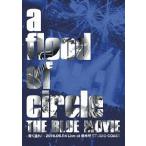 【送料無料】[DVD]/a flood of circle/THE BLUE MOVIE -青く塗れ!- 2016.06.04 Live at 新木場STUDIO COAST 10thアニバーサリーパック版 [2DVD+CD/初回限定生産]