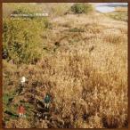 【送料無料】[CD]/Laura day romance/roman candles/憧憬蝋燭