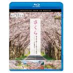 [ бесплатная доставка ][Blu-ray]/BGV/bi com Relaxes( сирень k She's )BD Sakura весна ... блестящий . Sakura. есть пейзаж 4K фотосъемка произведение 