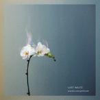 【送料無料】[CD]/world's end girlfriend/LAST WALTZ